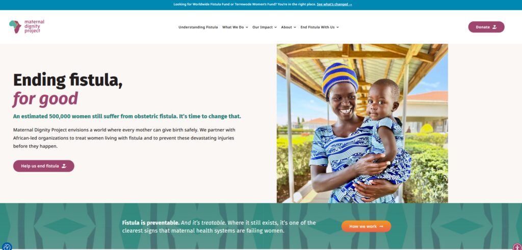 The header of the new Maternal Dignity Project website.